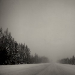 Holiday in Thule