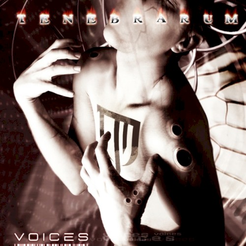Voices