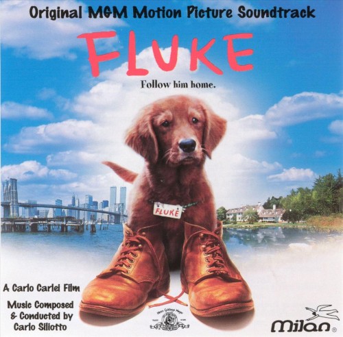 Fluke