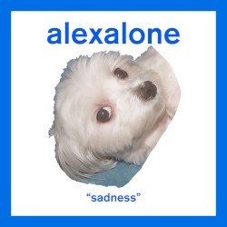sadness