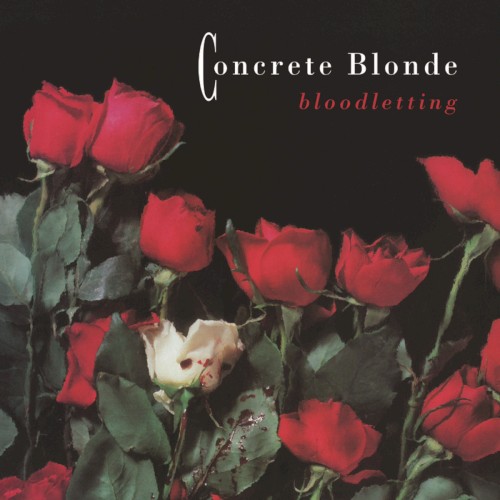 Bloodletting