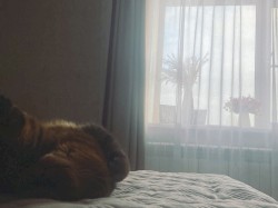 this beautiful life