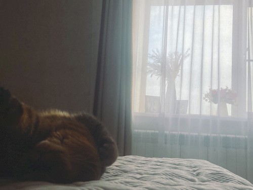 this beautiful life