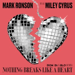 Nothing Breaks Like a Heart (Don Diablo remix)