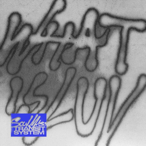 What Is Luv (extended mix)