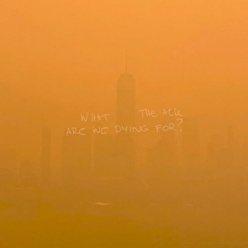 WHAT THE HELL ARE WE DYING FOR ?