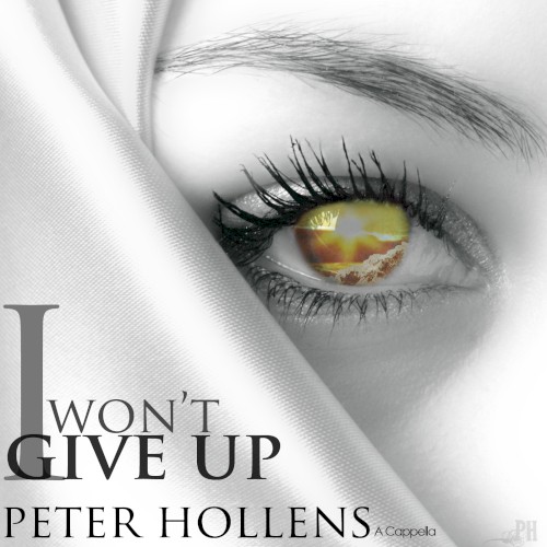 I Won't Give Up