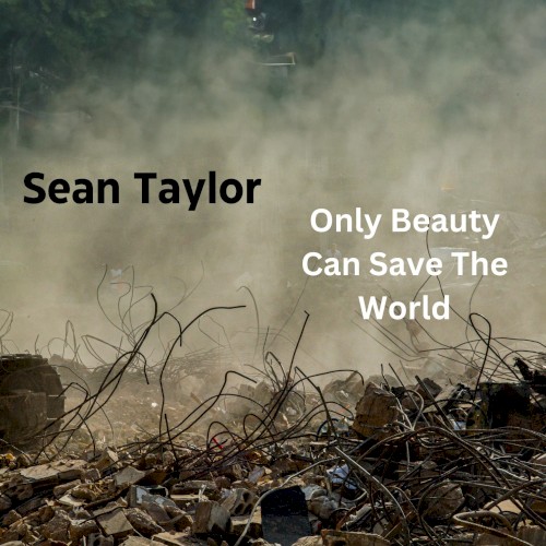 Only Beauty Can Save The world