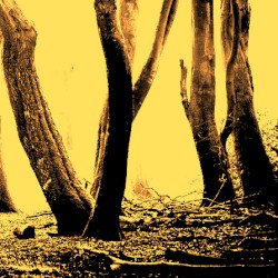 Dark Fields of September EP
