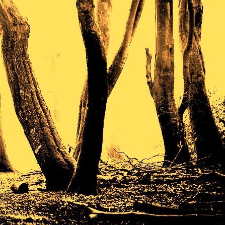Dark Fields of September EP