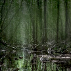 Hidden