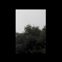 01.07.17