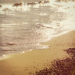 Warm Breeze