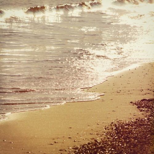 Warm Breeze