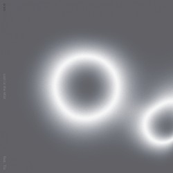 Lost in the Mist