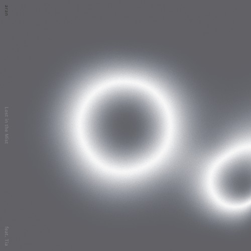 Lost in the Mist