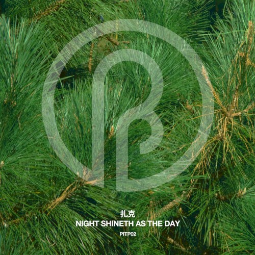 Night Shineth as the Day