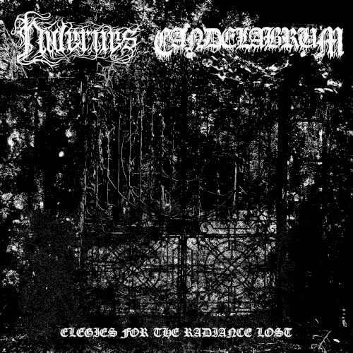 Elegies for the Radiance Lost