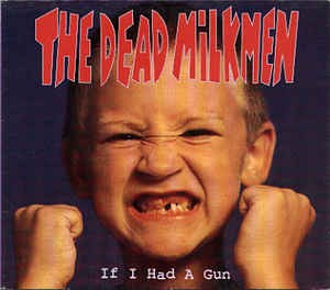 If I Had a Gun