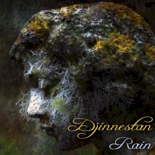 Rain 1