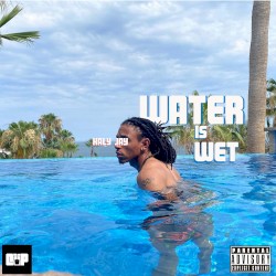 WATER IS WET