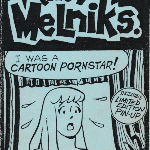 I Was a Cartoon Pornstar!