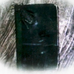 Dear Diary