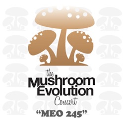 Mushroom Evolution Concert