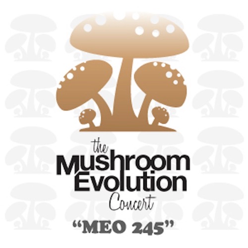 Mushroom Evolution Concert