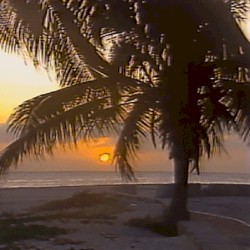 oceanside