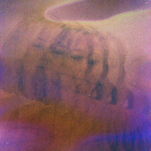 Dream From The Deep Well