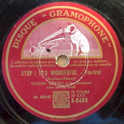 Stop! It's Wonderful / In the Mood