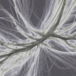 quantized time
