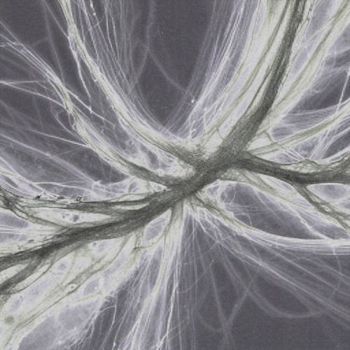 quantized time