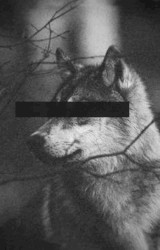 Sleep Furiously / Stories From the City