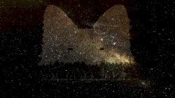 Fylgja