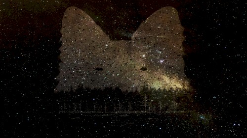 Fylgja