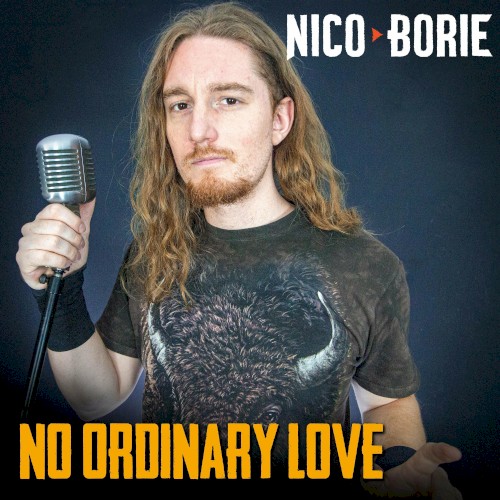 No Ordinary Love