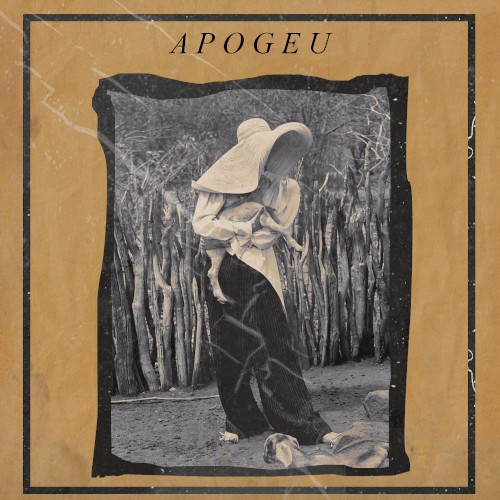 Apogeu
