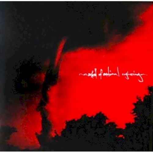 School of Emotional Engineering