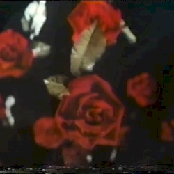 heartscapes