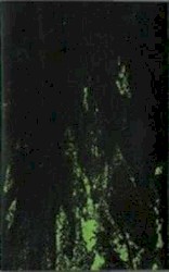 Bosque / Lord of the Abyss