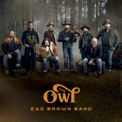 The Owl