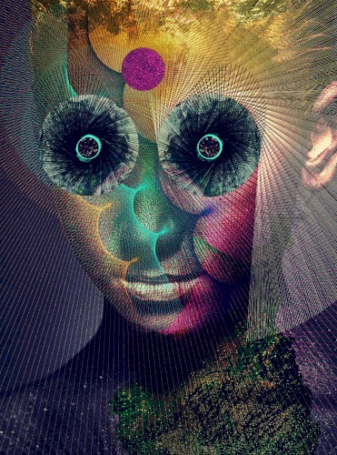 The Insulated World