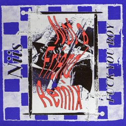 Fuck You Boy (Not a Friend Remix)