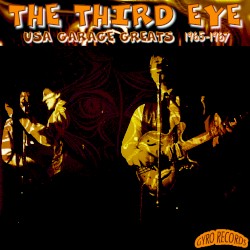 USA Garage Greats 1965-1967 - The Third Eye