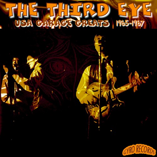 USA Garage Greats 1965-1967 - The Third Eye