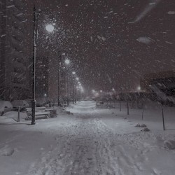 Winter Night