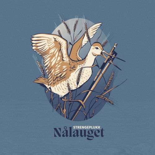 Nålauget