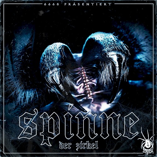 Spinne